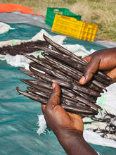 Cargar imagen en el visor de la galería, Vainas de Vainilla Grand Cru de Uganda [1 comprado = 1 gratis]
