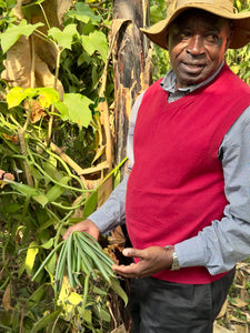 Gousses de Vanille d'Ouganda Grand Cru (Quantité Doublée)