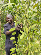 Charger l&#39;image dans la galerie, Gousses de Vanille d&#39;Ouganda Grand Cru (Quantité Doublée)
